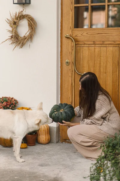 Wanita Dengan Sweater Rajutan Memegang Labu Dan Bermain Dengan Anjing — Stok Foto