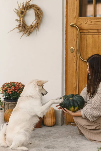 Wanita Bahagia Dengan Sweater Rajutan Bermain Dengan Anjing Lucu Pintu — Stok Foto