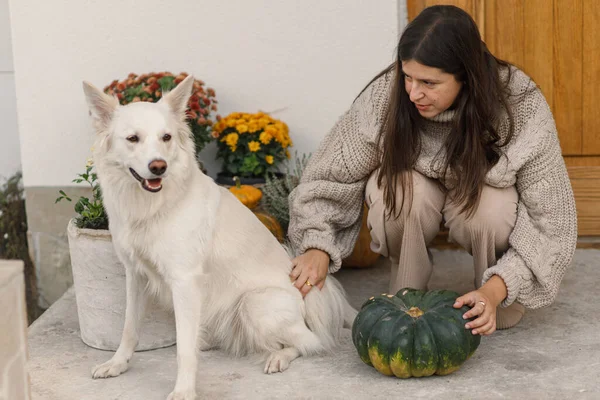 Wanita Bahagia Dengan Sweater Rajutan Membelai Anjing Lucu Pintu Masuk — Stok Foto