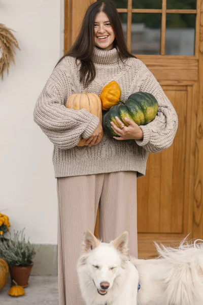 Šťastná Žena Pleteném Svetru Velkými Podzimními Dýněmi Pro Domácí Dekoraci — Stock fotografie