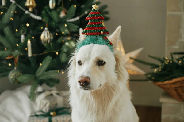 Cute Dog Świątecznym Akcesorium Drzewa Siedzi Tle Stylowo Urządzone Choinki — Zdjęcie stockowe