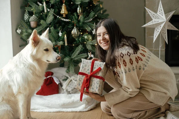 Γυναίκα Ζεστό Πουλόβερ Άνοιγμα Χριστουγεννιάτικο Δώρο Χαριτωμένο Λευκό Σκυλί Στο — Φωτογραφία Αρχείου