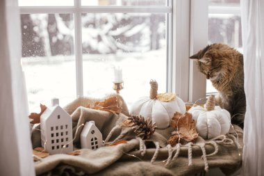 Balkabağı yastığıyla oturan sevimli kedi, yapraklar, mum pencere pervazında rahat bir fular. Evcil hayvan ve rahat sonbahar mevsimi. Şirin tekir kedi Hygge Fall Dekor 'unda dinleniyor.