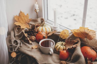 Autumn still life. Warm cup of tea,  pumpkins, fall leaves, candle, lights on comfy brown scarf on windowsill. Hygge fall home decor. Happy Thanksgiving