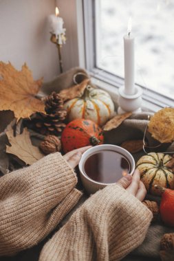 Cozy Autumn. Hands in sweater holding warm cup of tea with stylish pumpkins, fall leaves, lights on brown scarf on windowsill. Autumn hygge, fall home decor. Happy Thanksgiving