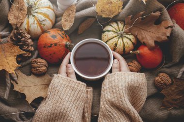 Sonbahar yatağı. Elleri rahat süveter içinde sıcak bir fincan çay tutarken şık balkabakları, dökülen yapraklar, pencere kenarındaki kahverengi fular. Autumn hygge, ev dekorasyonu. Mutlu Şükran Günleri