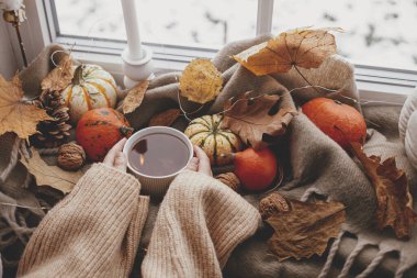 Autumn hygge. Hands in cozy sweater holding warm cup of tea with stylish pumpkins, fall leaves, lights on brown scarf on windowsill. Fall home decor. Happy Thanksgiving