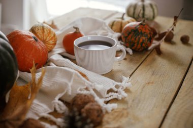 Warm cup of tea, towel, pumpkins, fall leaves on rustic wooden table in farmhouse. Cozy Autumn in home. Happy Thanksgiving. Autumn hygge