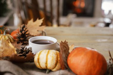 Sıcak bir fincan çay, balkabağı, dökülen yapraklar, kırsal ahşap masadaki rahat eşarp ve yazı için yer. Hygge sonbahar afişi. Mutlu Şükran Günleri Durgun bir hayat