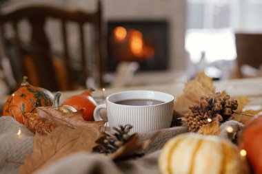 Cozy autumn. Warm cup of tea, pumpkins, autumn leaves, cones, cozy scarf and lights on rustic wooden table in farmhouse. Fall in rural home. Happy Thanksgiving. Fall hygge still life, banner