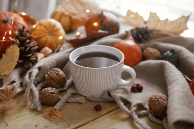 Autumn rural banner. Warm cup of tea, pumpkins, fall leaves, nuts, cozy scarf and lights on rustic wooden table. Autumn still life. Happy Thanksgiving. Hygge fall home