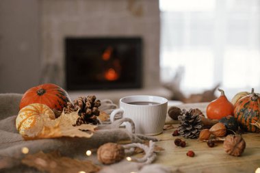 Warm cup of tea, pumpkins, autumn leaves, cones, cozy scarf and lights on rustic wooden table in farmhouse. Fall in rural home. Happy Thanksgiving. Fall hygge still life, copy space