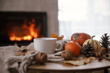 Warm cup of tea, pumpkins, autumn leaves, cozy scarf on rustic wooden table on background of burning fireplace. Hygge fall home, rural banner. Autumn still life. Happy Thanksgiving