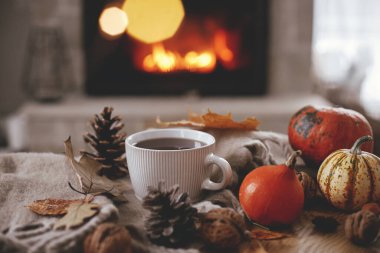 Cozy autumn. Warm cup of tea, pumpkins, autumn leaves, cones, cozy scarf on rustic wooden table on background of fireplace in farmhouse. Comfort fall in rural home. Happy Thanksgiving