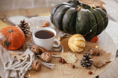 Autumn rural banner. Warm cup of tea, pumpkins, fall leaves, nuts, cozy scarf and lights on rustic wooden table. Autumn still life. Happy Thanksgiving. Hygge fall home