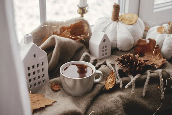 Autumn Still Life Warm Cup Tea Cozy Pumpkin Pillows Fall — стоковое фото