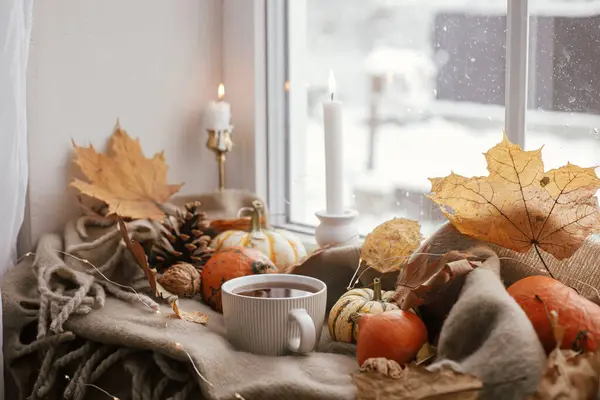 Autumn Still Life Warm Cup Tea Pumpkins Fall Leaves Candle — стоковое фото