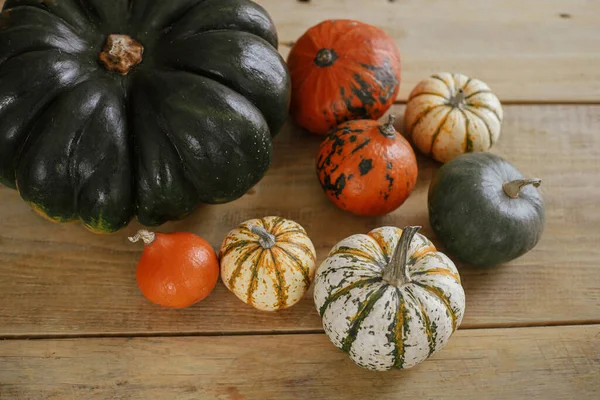 stock image Pumpkins on rustic wooden table in house. Cozy Autumn, fall home decor. Happy Thanksgiving. Harvest and natural squashes concept