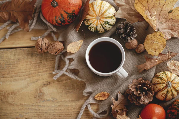 Warm Cup Tea Pumpkins Fall Leaves Cozy Scarf Rustic Wooden — Stock Fotó