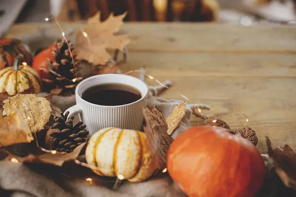 Autumn Rural Banner Warm Cup Tea Pumpkins Fall Leaves Cozy — Stok fotoğraf
