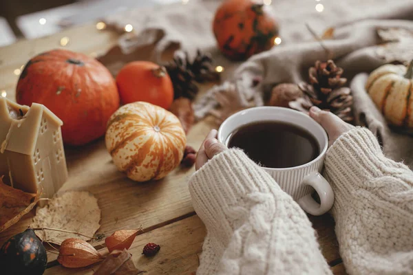 Cozy Autumn. Hands holding warm cup of tea and pumpkins, autumn leaves, cozy scarf, lights on rustic wooden table. Hygge fall home. Happy Thanksgiving. Rural fall