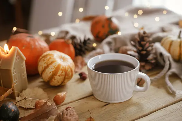 Cozy autumn. Warm cup of tea, pumpkins, autumn leaves, cones, cozy scarf and lights on rustic wooden table in farmhouse. Fall in rural home. Happy Thanksgiving. Fall hygge still life, banner