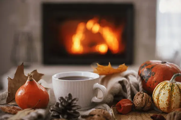Cozy autumn. Warm cup of tea, pumpkins, autumn leaves, cones, cozy scarf on rustic wooden table on background of fireplace in farmhouse. Comfort fall in rural home. Happy Thanksgiving