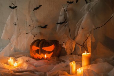 Mutlu Cadılar Bayramı! Korkunç Jack o fener oyulmuş balkabağı, örümcek ağı, hayalet, yarasalar ve akşamları parlayan ışık. Korkunç atmosferik cadılar bayramı partisi dekorasyonları, yazı için yer. Şaka mı şeker mi?
