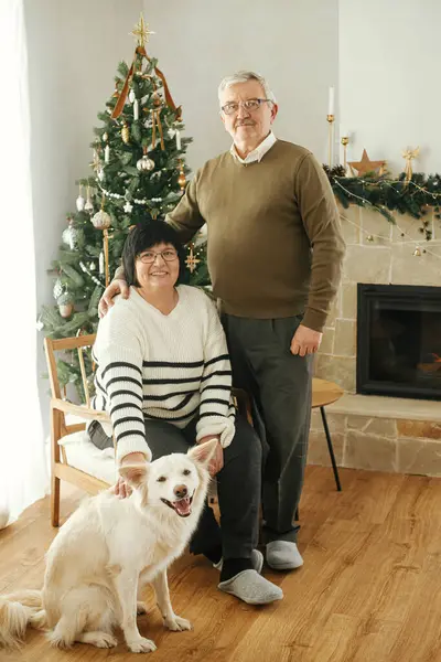 Счастливая Пожилая Пара Наслаждается Уютным Камином Симпатичной Собакой Стильной Праздничной — стоковое фото
