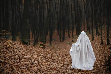 Mutlu Cadılar Bayramı! Huysuz karanlık sonbahar ormanında duran ürkütücü hayalet. Akşamları hayalet gibi beyaz çarşaf giyen biri ağaçlara düşer. Yuh! Korku zamanı.