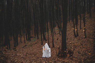 Mutlu Cadılar Bayramı! Karanlık sonbahar ormanlarında parlayan feneri tutan ürkütücü hayalet. Akşamları beyaz çarşaf giymiş hayalet kılığındaki biri ağaçlara düşer. Yuh! Korku zamanı.