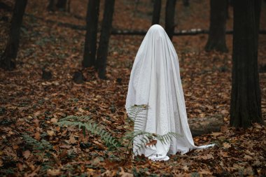 Mutlu Cadılar Bayramı! Huysuz karanlık sonbahar ormanında duran ürkütücü hayalet. Akşamları hayalet gibi beyaz çarşaf giyen biri ağaçlara düşer. Yuh! Korku zamanı.