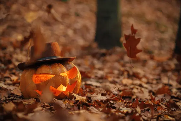 Strašidelný Jack Lucerna Klobouku Podzimním Listí Náladovém Tmavém Lese Šťastný — Stock fotografie