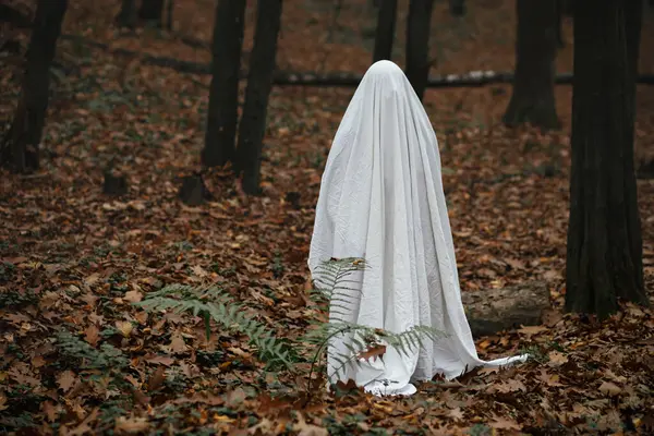 Mutlu Cadılar Bayramı Huysuz Karanlık Sonbahar Ormanında Duran Ürkütücü Hayalet — Stok fotoğraf