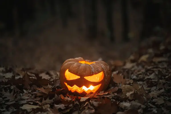 Жуткий Светящийся Джек Фонарь Осенних Листьях Мрачном Темном Лесу Счастливого — стоковое фото
