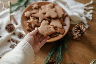 Noel ağacı zencefilli kurabiyeyi, çam kozalaklı, çam kozalaklı, çam ağacından yapılmış kurabiyeyle kırsal masaya karşı tutarak. Mutlu Noeller! Lezzetli taze zencefilli kurabiyeler, atmosferik tatil