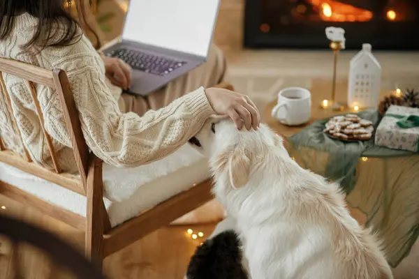 ラップトップで作業し お祝いでかわいい白い犬を世話する幸せな女性は ライト付きのクリスマスルームを装飾しました クリスマス休暇とペット 冬休みのリモートワーク — ストック写真