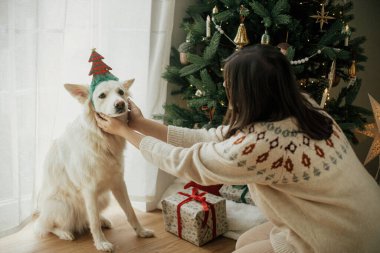 Mutlu Noeller! Şen şakrak bir Noel ağacının arka planında şirin beyaz köpekle oynayan mutlu bir kadın. Kış tatili Şenlik odasında ev sahibi ve evcil hayvanı