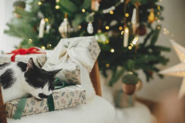 Şirin kedi modern sandalyede şık Noel hediyelerinde uyuyor, dekore edilmiş Noel ağacının arka planında dinleniyor. Hayvan ve kış tatilleri. Atmosferik konforlu Noel zamanı