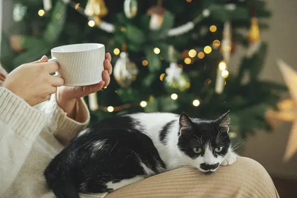 スタイリッシュなクリスマスツリーの背景にかわいい猫と暖かいお茶と座っている居心地の良いセーターの女性が閉じます 冬の休日を飾る ペットがリラックスできるオーナー メリークリスマス — ストック写真