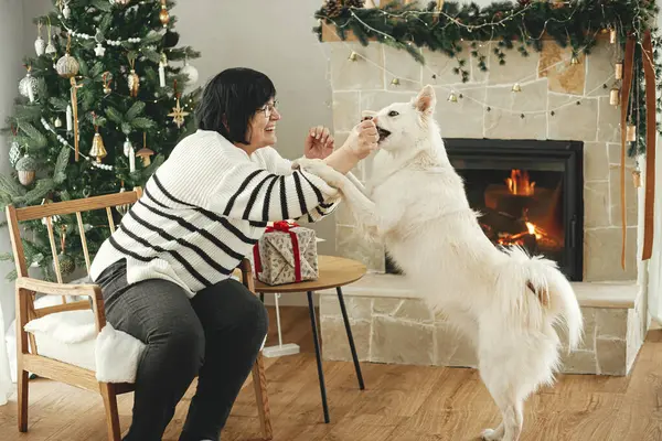Mulher Madura Bonita Brincando Com Cão Branco Bonito Fundo Árvore — Fotografia de Stock