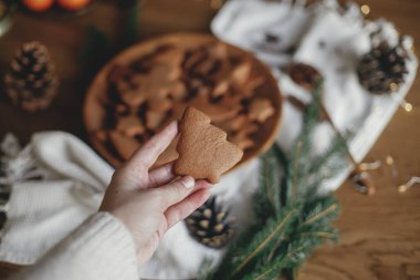 Mutlu Noeller! Noel ağacı zencefilli kurabiyeyi, çam kozalaklı, çam kozalaklı, çam ağacından yapılmış kurabiyeyle kırsal masaya karşı tutarak. Lezzetli taze zencefilli kurabiyeler, atmosferik tatil