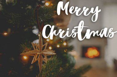 Noel mesajınız kutlu olsun. Noel yıldızı ağaçta, yanan şöminenin karşısında. Güzel dekore edilmiş Noel ağacı. İyi tatiller! Sezonun tebrik kartı. El yazısı işareti