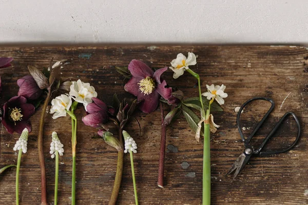 Jarní Květiny Ležely Zemi Krásné Helleborus Muscari Narcisy Nůžky Starém — Stock fotografie