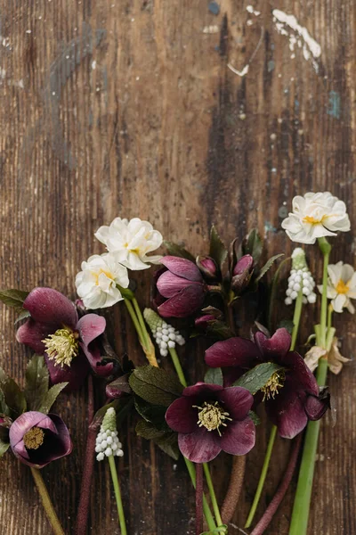 Bahar Çiçekleri Kırsal Düzlükteydi Güzel Helleborus Muscari Ahşap Arka Planda — Stok fotoğraf