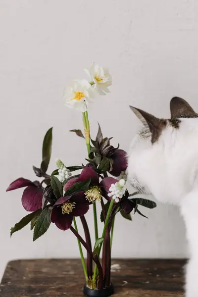 Uroczy Kotek Pachnący Pięknym Helleborus Muscari Żonkil Kompozycja Kenzan Wieku — Zdjęcie stockowe