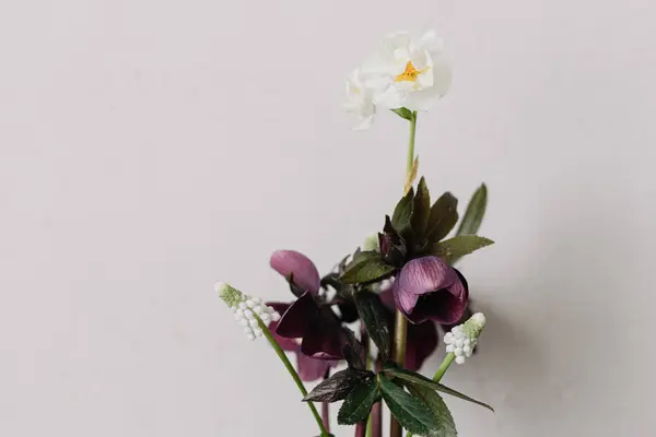Frühlingsblumen Rustikales Stillleben Schöne Komposition Aus Helleborus Muscari Und Narzissen — Stockfoto