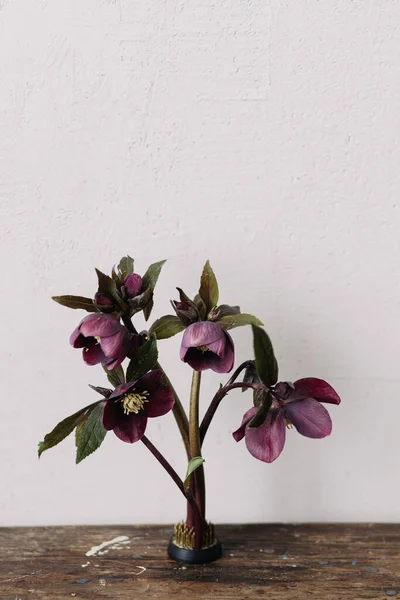 Krásná Pekelná Kompozice Kenzanu Starém Dřevěném Pozadí Jarní Rustikální Květiny — Stock fotografie