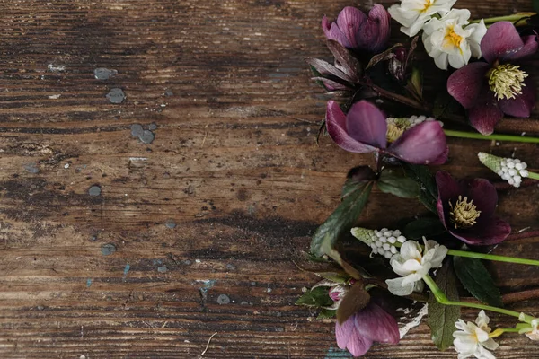 Wiosna Kwiaty Rustykalny Płaski Leżał Piękny Helleborus Muscari Żonkile Starszym — Zdjęcie stockowe