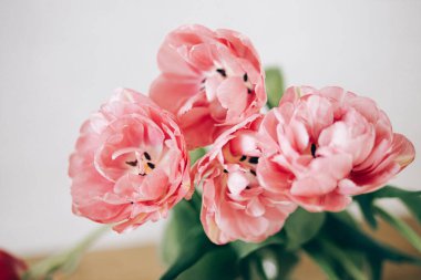 Güzel laleler kırsal arka planda vazoda kapanıyor. Şık bir çiçek buketi. Sevgililer günün kutlu olsun ve anneler günün kutlu olsun. Yumuşak pembe çiçekler